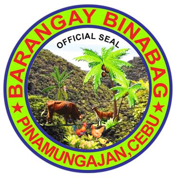 Barangay Binabag